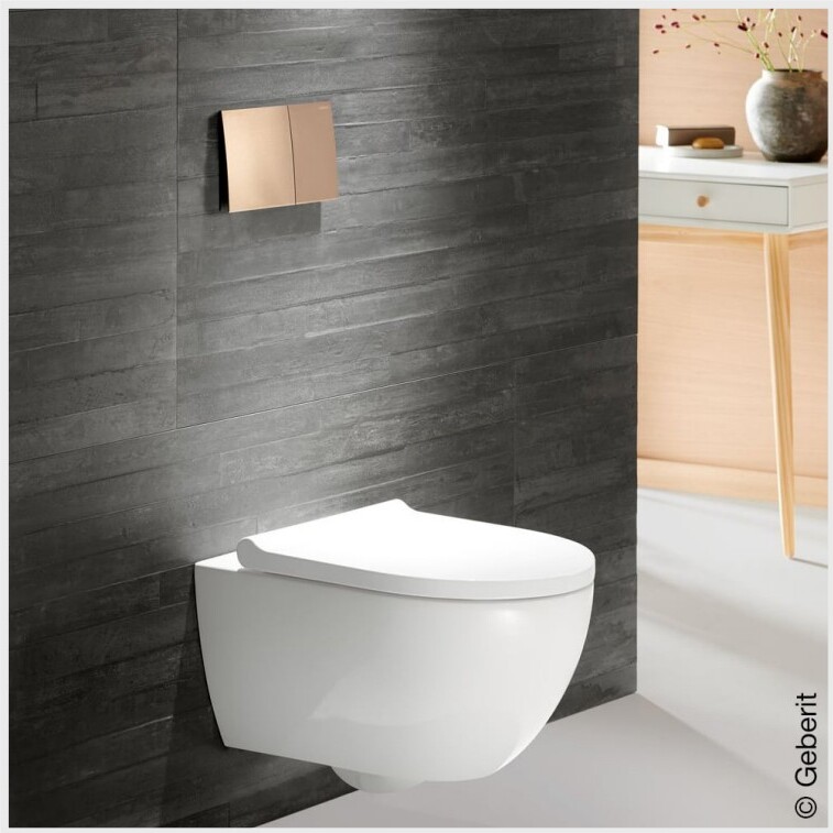 wc-suspendu